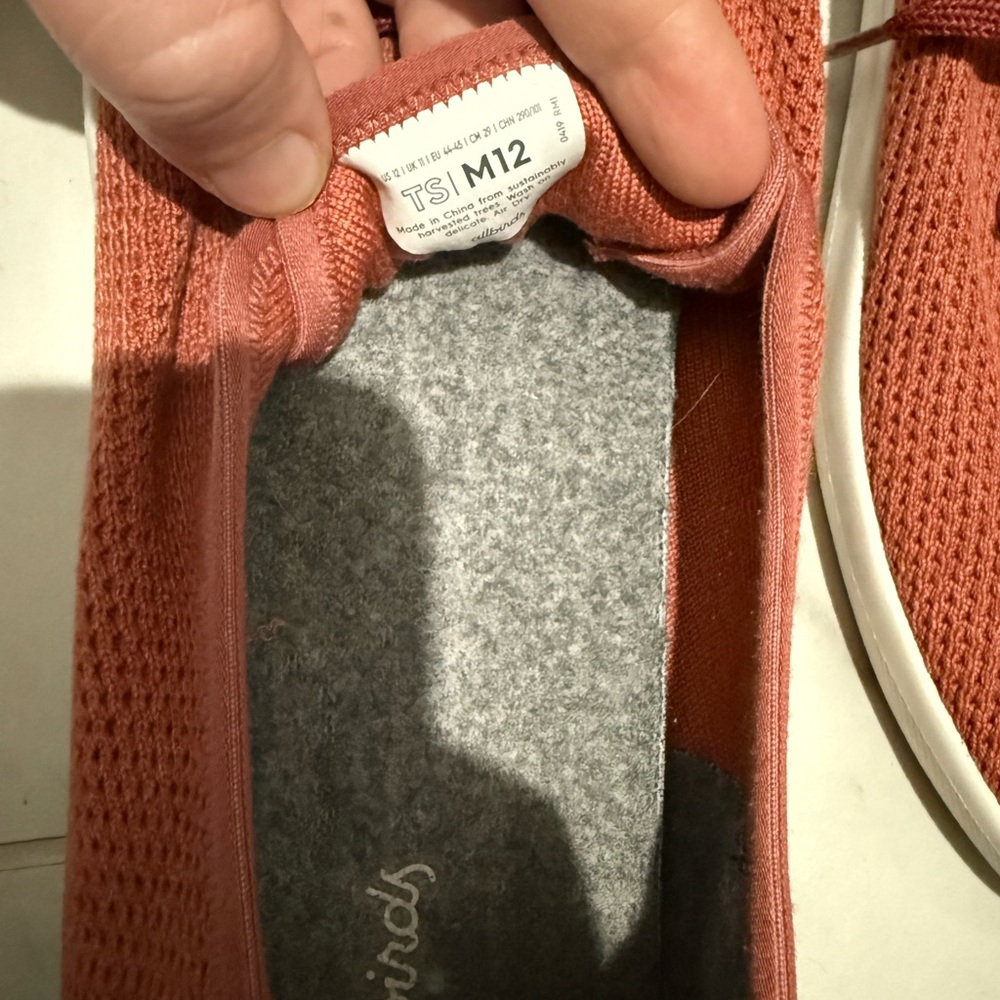 Allbirds Terracotta Knit Shoes